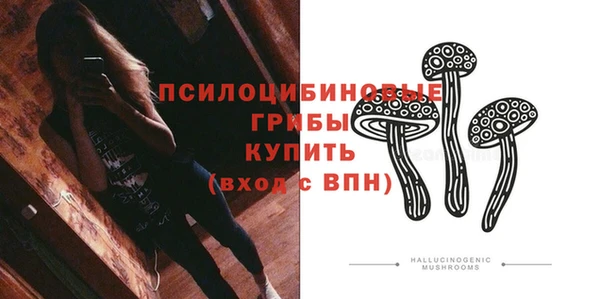 spice Зерноград