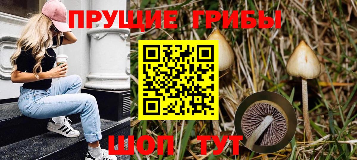 Галлюциногенные грибы ЛСД Слободской