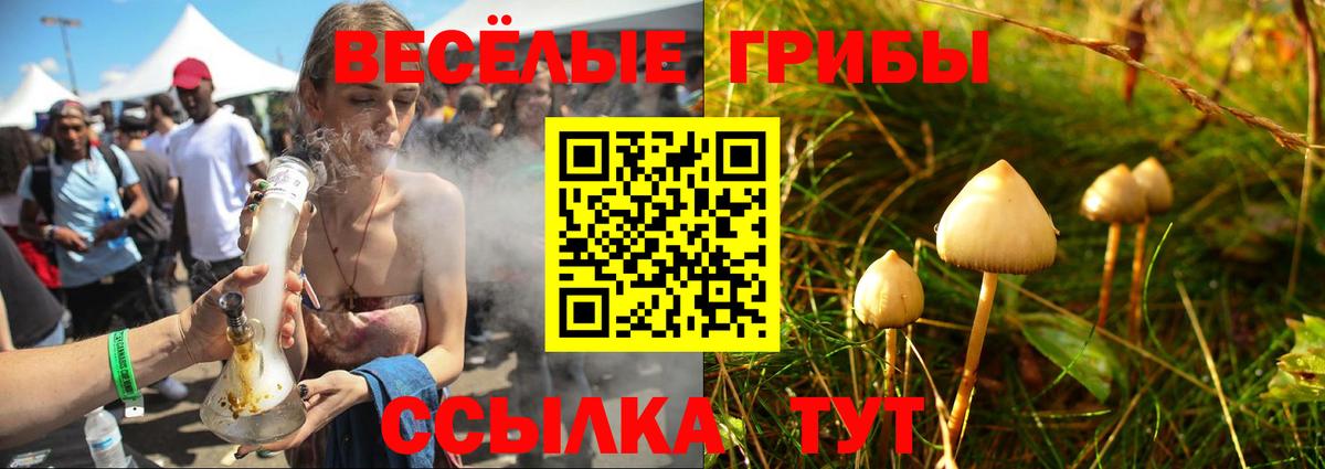 Слободской  Галлюциногенные грибы мицелий  Вход с VPN 